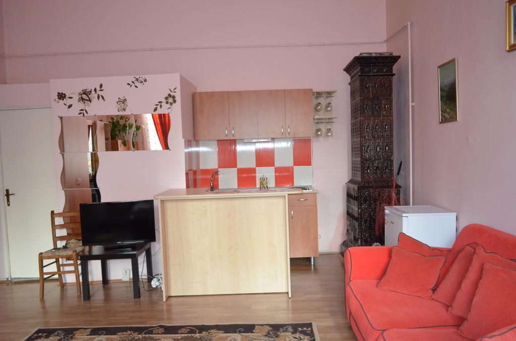 Cosy Studio Lejlighed Cluj-Napoca Eksteriør billede